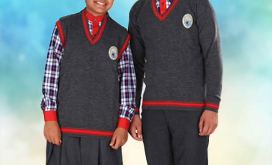 Unisex School Half Sleeve / Full Sleeve Sweater